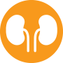 kidney health logo