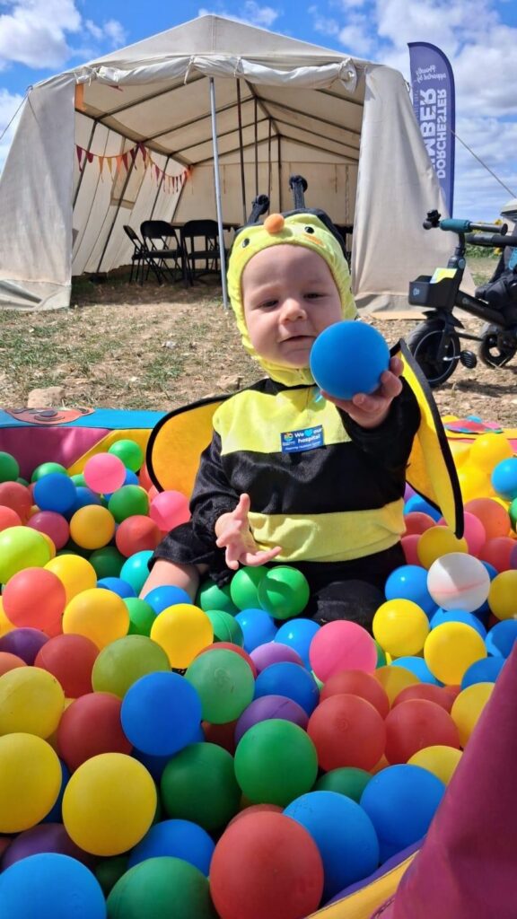 Baby dressed as bee at Sunflower Trail 2026