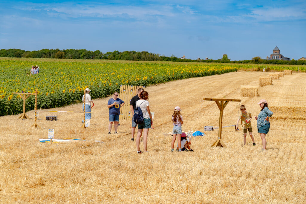 Visitors at the Sunflower Trail 2026
