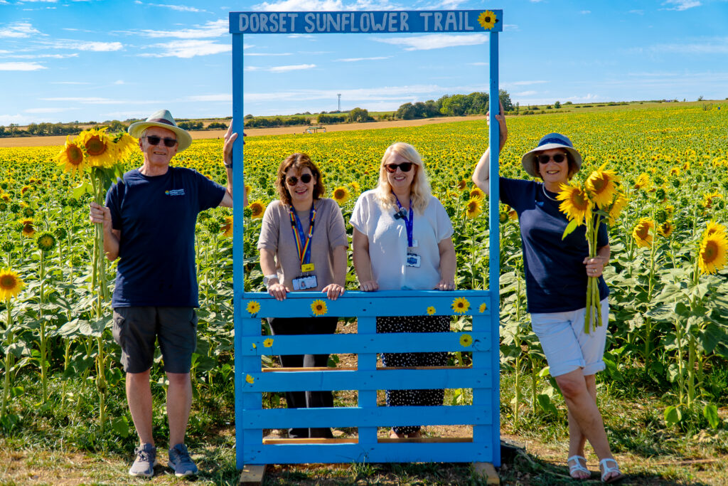 DCH Charity Team and volunteers at the Dorset Sunflower Trail 2026